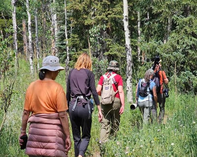 Beginner Birding Class & Guided Walk in Denver