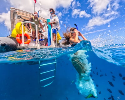 2-Hour Private Snorkel Boat Charter in Honolulu