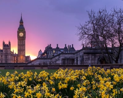 8-Hour Private Car Tour of London