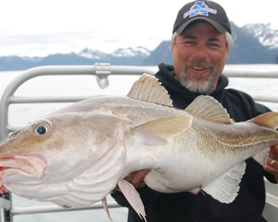 Cod, Rockfish & Salmon Fishing Charter in Seward