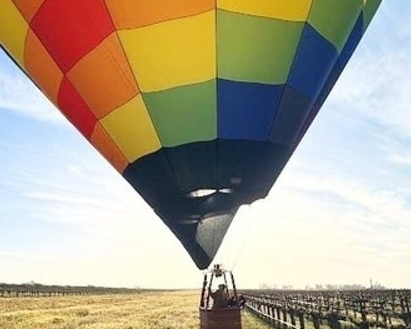 Shared Hot Air Balloon Ride Over Paso Robles Vineyards