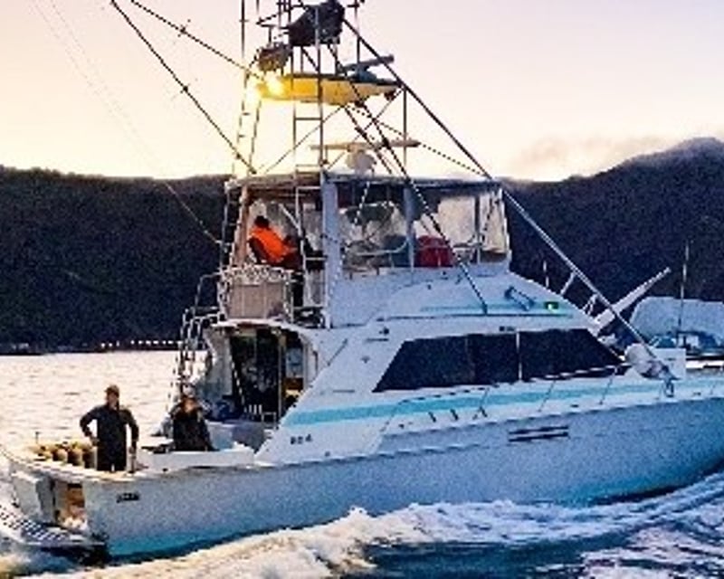 2-Tank Guided Boat Dive in Avalon, Catalina Island