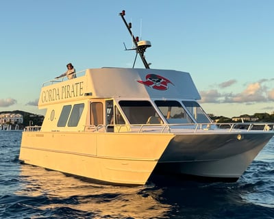 Virgin Islands 55' Power Catamaran Charter