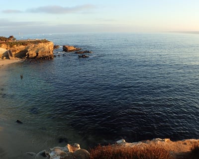 La Jolla Kelp Forest Guided Shore Dive