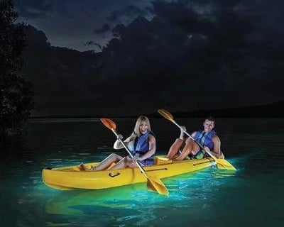 Bioluminescent Night Kayak Tour in La Parguera