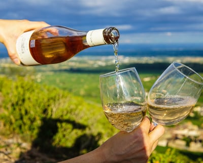 Tour Muir Woods & Napa-Sonoma Wine Country Lunch
