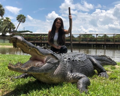 Face-to-Face Gator Encounter in Palmdale