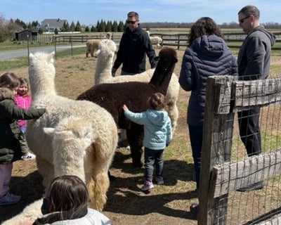 Earleville Alpaca Farm & Fiber Mill Tour