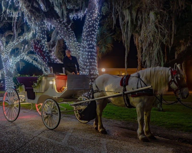Jekyll Island 35-Minute Evening Carriage Tour