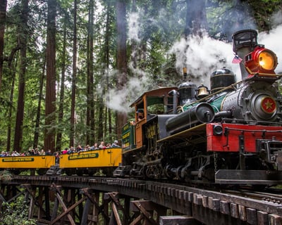 Steam Train Through Redwood Forest, Felton CA