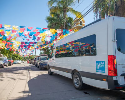 Private Cultural Tour of Todos Santos