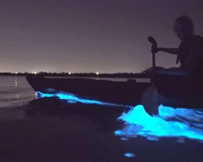Bioluminescence Kayak Tour in Deer Harbor