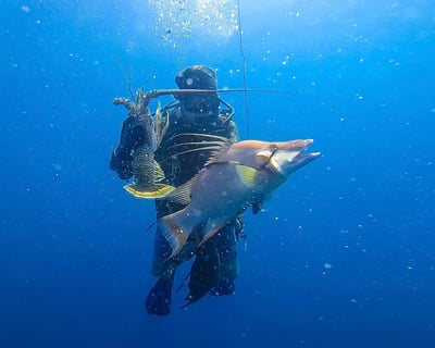 Full-Day Dry Tortugas Spearfishing Charter