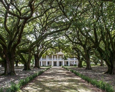 Whitney Plantation Self-Guided Tour From New Orleans
