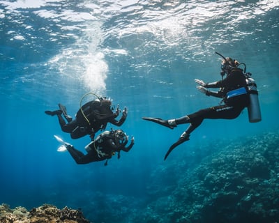 PADI Divemaster Certification Course in Honolulu