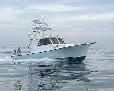 Catch Snapper & Grouper on 38ft Charter Boat