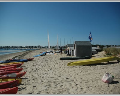 Nantucket Harbor Kayak & Paddleboard Rentals