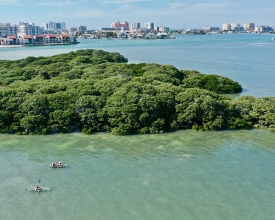 Clear Kayak Tour In Clearwater Beach