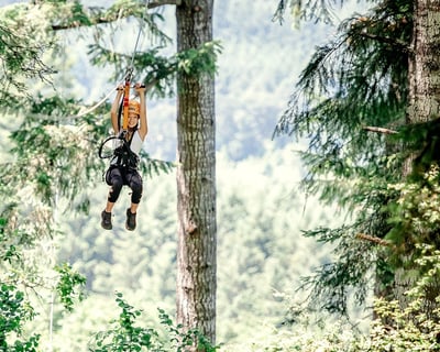 2-Hour Zipline Tour in Gaston