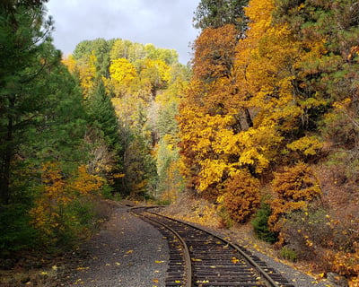 Ride a Fall Train in Hood River Valley