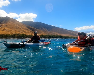 Explore Maui Reefs on a 3-Hour Clear Kayak Tour