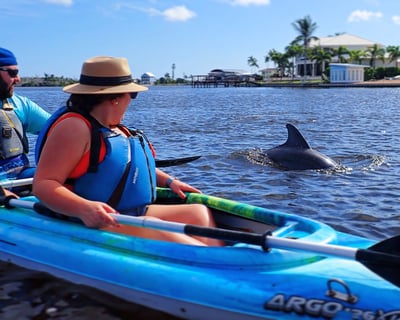Kayak & SUP Rentals With Wildlife Spotting