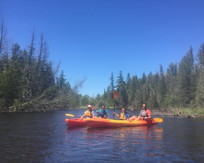 Guided Wetlands Kayak Tour in Sturgeon Bay