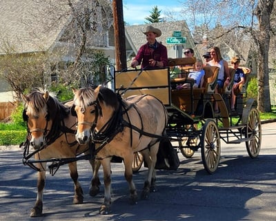 Bozeman Historic District Carriage Ride