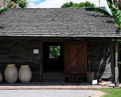 Whitney Plantation and Small Airboat Swamp Tour