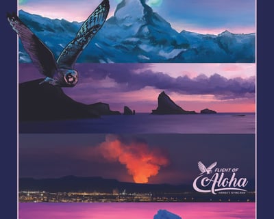Northern Lights Flying Theater Ride in Kailua-Kona