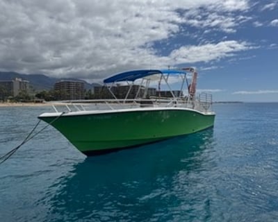 3-Hour Private Sightseeing Charter in Lahaina
