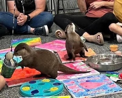 90-Minute Otter Painting Encounter in Bremen
