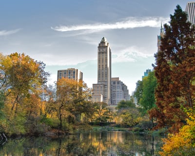 3-Hour Central Park Walking Tour in New York City