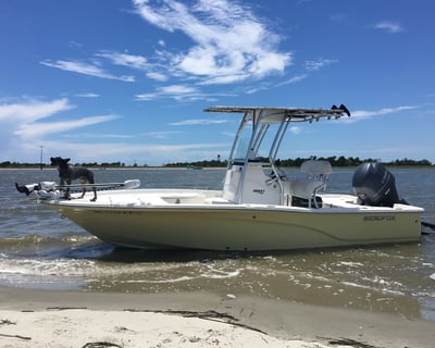 4-Hour Private Charter In Mt. Pleasant