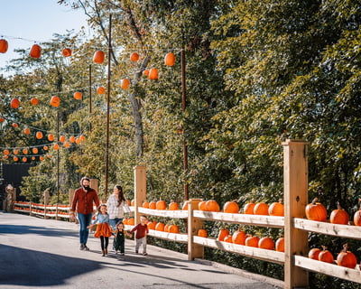 Branson Pumpkin Festival