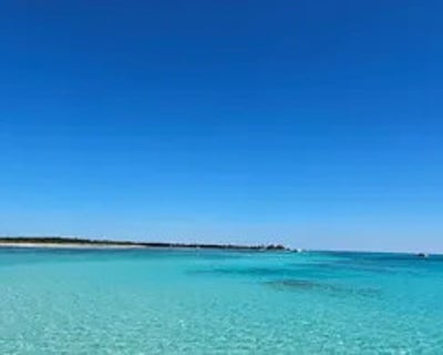 Key West Dolphin, Sandbar & Snorkel Charter