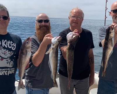 Private 4-Hour Inshore Fishing Charter in Kennebunkport