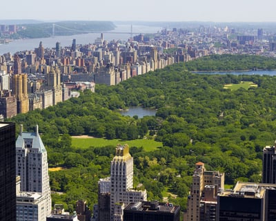 Central Park Guided Walking Tour