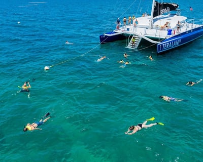 Mimosa Morning Snorkel Sail in Key West
