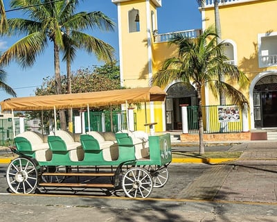 Cozumel Horse-Drawn & Electric Carriage Tour