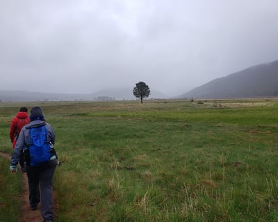 Guided 5-6-Hour Hike in Rocky Mountain National Park