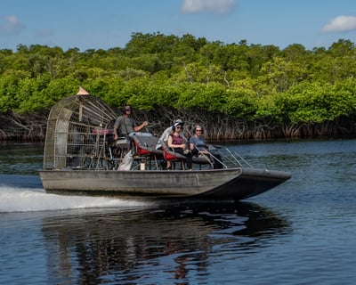 Mangrove & Grassland Airboat Tour in Everglades City