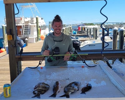 6-Hour Inshore Fishing Charter in Orange Beach