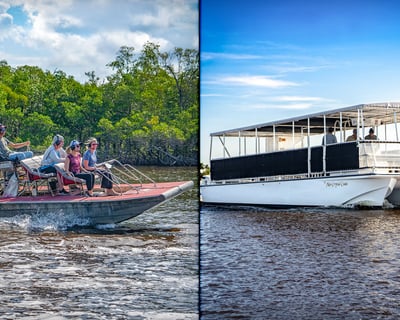 Mangrove Tunnel Airboat & Boat Tour in Everglades City