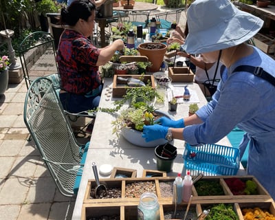 Clovis Private Succulent Planting Party