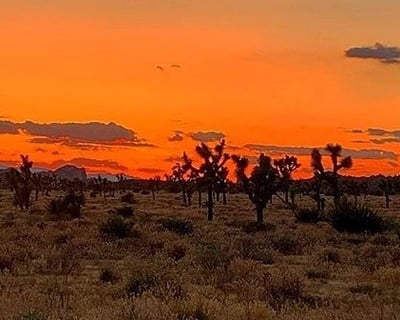 Private Sunset Hike in Joshua Tree