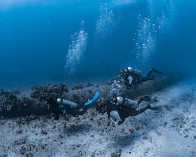 Two-Tank Shallow Reef Boat Scuba Dive for Certified and Beginners