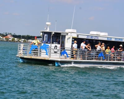 Dolphin Watching Cruise in Pensacola