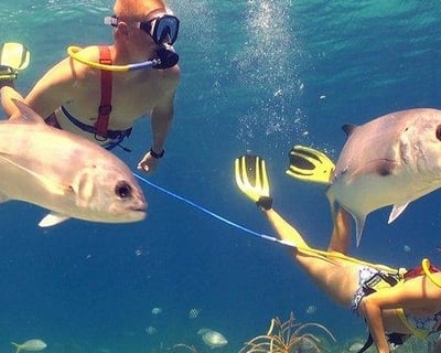 Guided Snuba Dive in St. Thomas