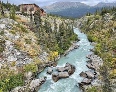 Yukon Suspension Bridge 4-Hour Private Tour From Skagway